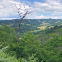 Krajina jak někde v Čechách