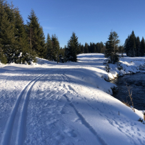 Stopa podél Modravského potoka